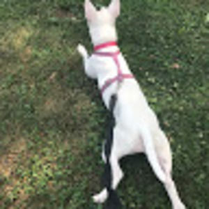 Meet your Posher, Chloe